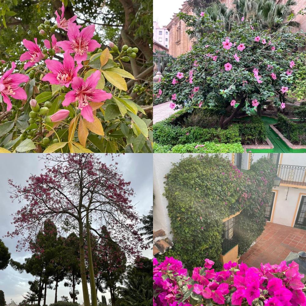 jardindeportneuf (21)