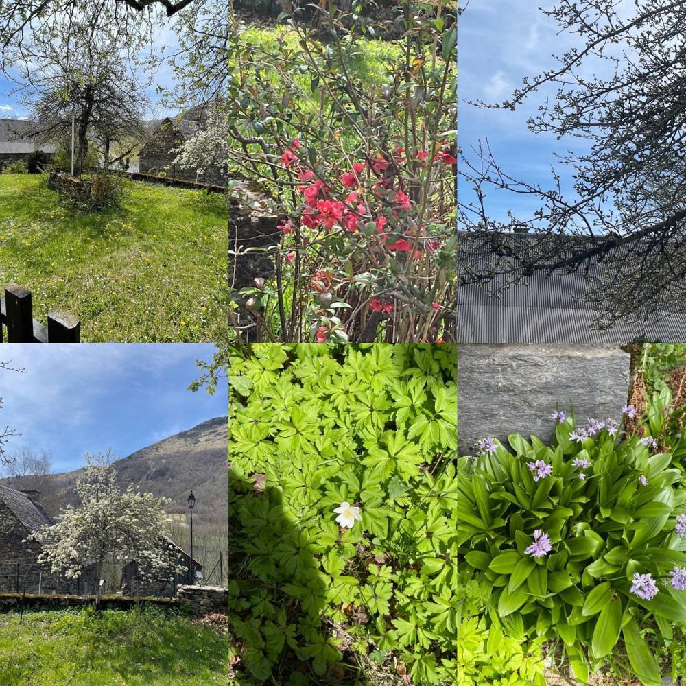 jardinier Madirac